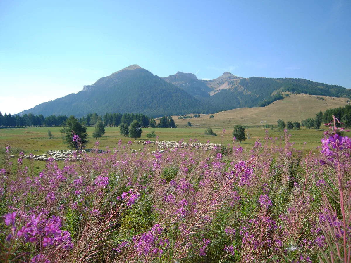 Le tre cime del Monte Bondone viste dalla piana delle Viote